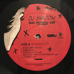 Schallplatte DJ Shadow - Our Pathetic Age (2 LP) - 6