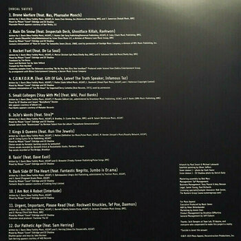Vinylplade DJ Shadow - Our Pathetic Age (2 LP) - 13
