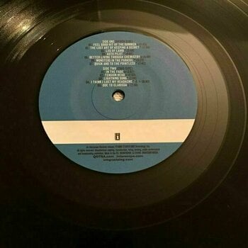 Disco de vinil Queens Of The Stone Age - Rated R (LP) - 4