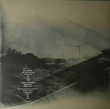 LP Rain Tree Crow - Rain Tree Crow (LP) - 6