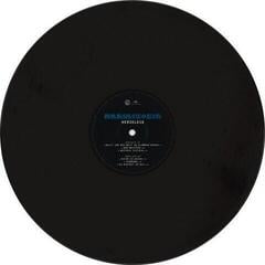 Disc de vinil Rammstein - Herzeleid (2 LP) - 2