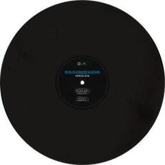 Disc de vinil Rammstein - Herzeleid (2 LP) - 4