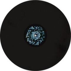 Disc de vinil Rammstein - Herzeleid (2 LP) - 5