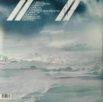 Vinyl Record Rammstein - Rosenrot (2 LP) - 10