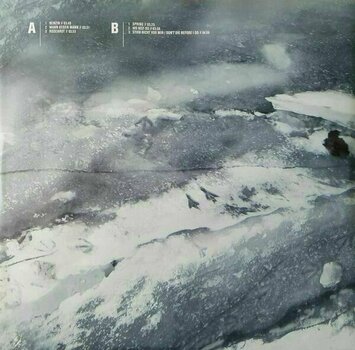 Disque vinyle Rammstein - Rosenrot (2 LP) - 8