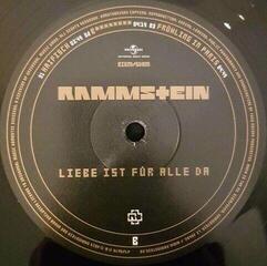Disc de vinil Rammstein - Liebe Ist Für Alle Da (2 LP) - 3