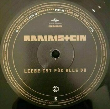 LP ploča Rammstein - Liebe Ist Für Alle Da (2 LP) - 3