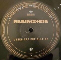 Disc de vinil Rammstein - Liebe Ist Für Alle Da (2 LP) - 4