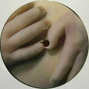 LP plošča Rammstein - Mutter (2 LP) - 6