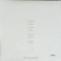 Vinüülplaat Rammstein - Rammstein (2 LP) - 6