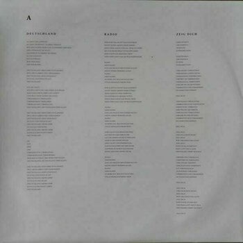 Vinyl Record Rammstein - Rammstein (2 LP) - 6