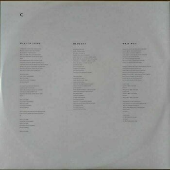 Vinyl Record Rammstein - Rammstein (2 LP) - 8