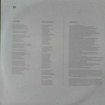 Disc de vinil Rammstein - Rammstein (2 LP) - 10