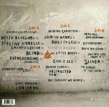 Vinyl Record Rise Against - Long Forgotten Songs (2 LP) - 2