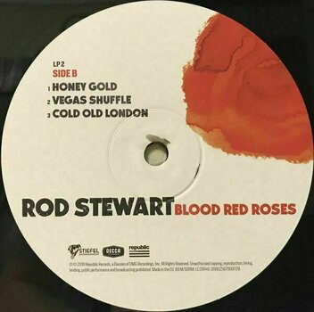 Vinyl Record Rod Stewart - Blood Red Roses (2 LP) - 7