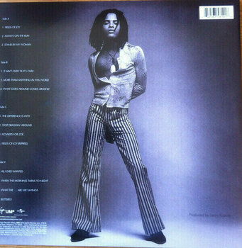 Vinyl Record Lenny Kravitz - Mama Said (2 LP) - 3