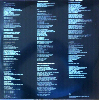 Vinyl Record Lenny Kravitz - Mama Said (2 LP) - 7