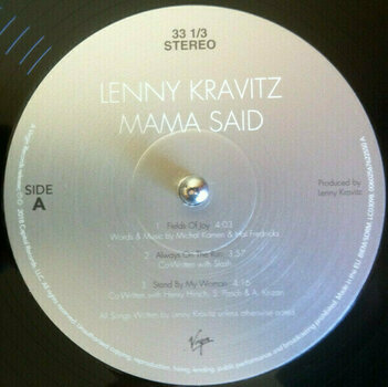 Vinyylilevy Lenny Kravitz - Mama Said (2 LP) - 9