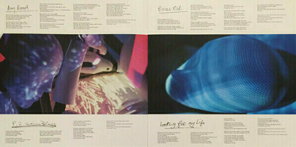 Disque vinyle George Harrison - Brainwashed (LP) - 7