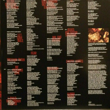 Vinyl Record Lenny Kravitz - Let Love Rule (2 LP) - 6