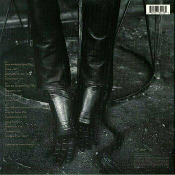 Vinyylilevy Lenny Kravitz - Circus (2 LP) - 2