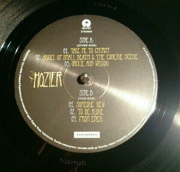 Vinyl Record Hozier - Hozier (2 LP) - 2