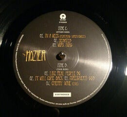 Schallplatte Hozier - Hozier (2 LP) - 2