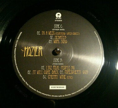Vinyl Record Hozier - Hozier (2 LP) - 3