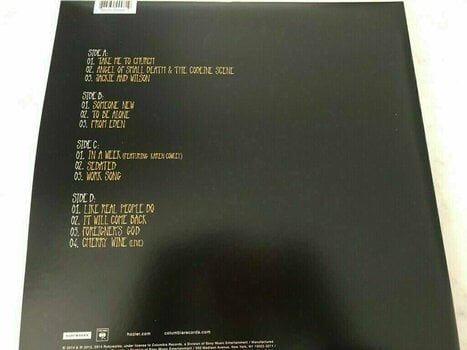 Disque vinyle Hozier - Hozier (2 LP) - 5