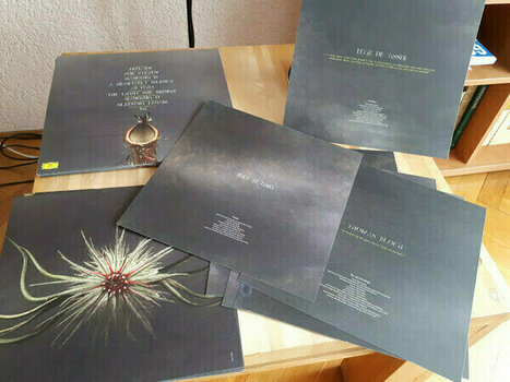 Hanglemez Joep Beving - Conatus (2 LP) - 3