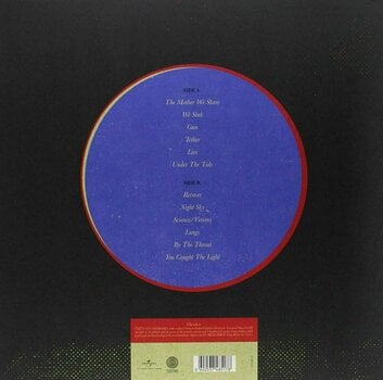 Disco de vinil Chvrches - The Bones Of What You Believe (LP) - 2