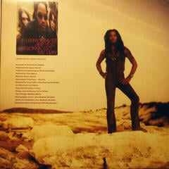 Δίσκος LP Lenny Kravitz - Are You Gonna Go My Way (2 LP) - 3