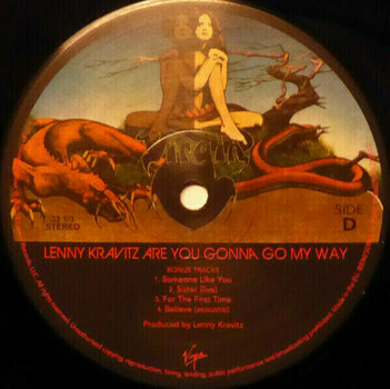 Vinyylilevy Lenny Kravitz - Are You Gonna Go My Way (2 LP) - 7