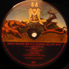 Δίσκος LP Lenny Kravitz - Are You Gonna Go My Way (2 LP) - 7