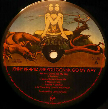 Vinyl Record Lenny Kravitz - Are You Gonna Go My Way (2 LP) - 8