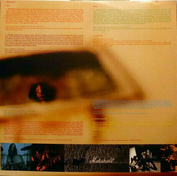 Vinylskiva Lenny Kravitz - Are You Gonna Go My Way (2 LP) - 12