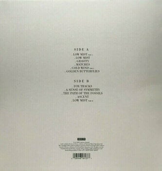 Disque vinyle Ludovico Einaudi - Seven Days Walking - Day 1 (LP) - 2