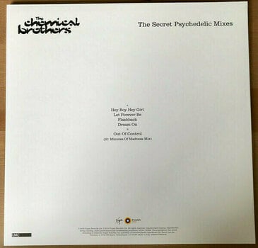 Δίσκος LP The Chemical Brothers - Surrender (4 LP + DVD) - 19