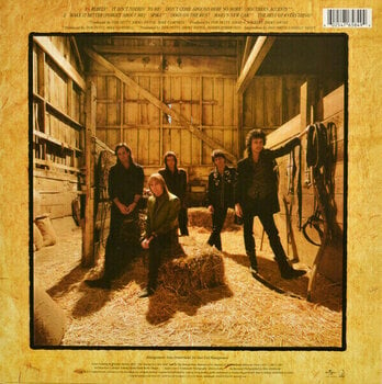 Vinyylilevy Tom Petty - Southern Accents (LP) - 2