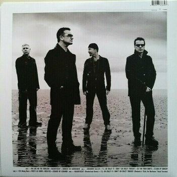 Vinyl Record U2 - No Line On The Horizon (Clear Vinyl) (2 LP) - 3
