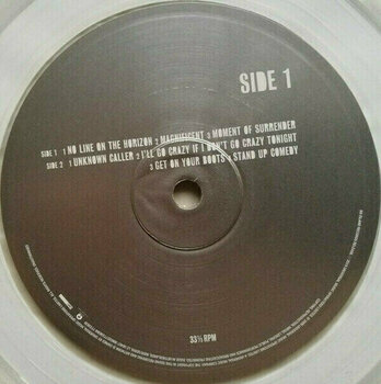 Vinyl Record U2 - No Line On The Horizon (Clear Vinyl) (2 LP) - 6