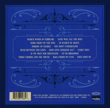 Vinyl Record Van Morrison - Three Chords & The Truth (2 LP) - 4
