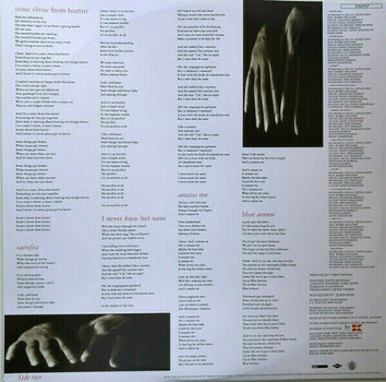 Vinyl Record Elton John - Sleeping With The Past (LP) - 4