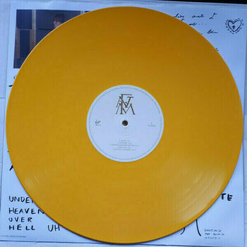 Vinyl Record Florence and the Machine - High As Hope (Yellow Coloured) (LP) - 2