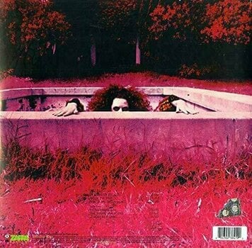 Vinylskiva Frank Zappa - The Hot Rats (Limited Edition) (LP) - 2