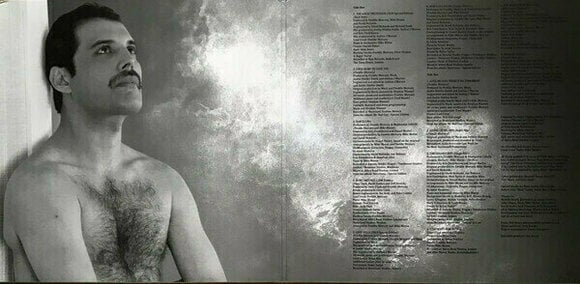 Vinyl Record Freddie Mercury - Never Boring (LP) - 4
