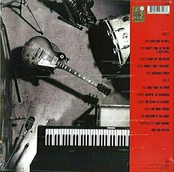 Vinylskiva Gary Moore - After Hours (LP) - 2