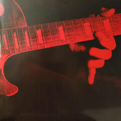 Vinyl Record Gary Moore - After Hours (LP) - 3