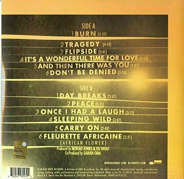 Vinyl Record Norah Jones - Day Breaks (LP) - 2