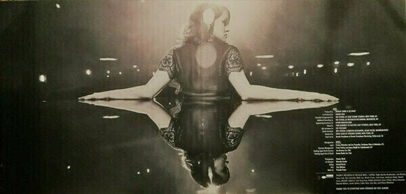 Schallplatte Norah Jones - Day Breaks (LP) - 3